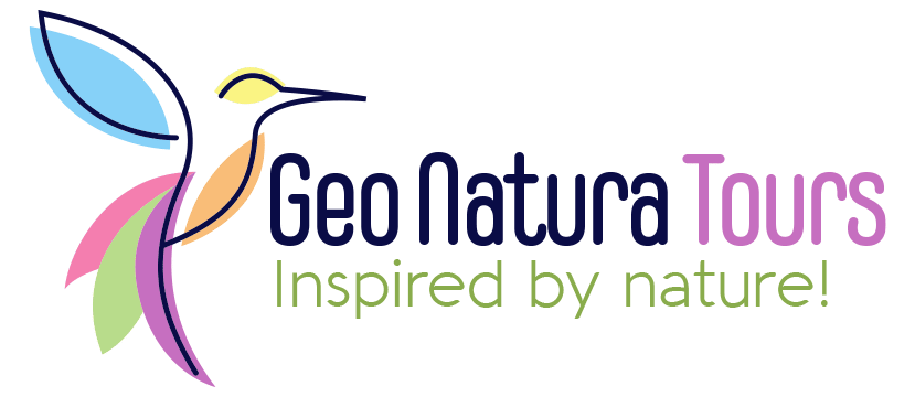 Nature Photography Tour Wildlife Photography Expedition Professional Photography Adventure Landscape Photography Journey Eco Photography Tour Adventure Photography Trip Costa Rica Photography Experience Natural Light Photography Tour Sunset Photography Adventure Wildlife & Nature Photography Bird Watching Tour Birding Expedition Costa Rica Bird Safari Tropical Birding Adventure Guided Birdwatching Experience Ornithology Tour Exotic Bird Observation Wildlife Birding Journey Rare Bird Watching Adventure Nature & Bird Watching Tour Family Vacation Costa Rica Family Adventure Tour Family-Friendly Eco Travel Kid-Friendly Nature Tours Family Safari Tour Multi-Generational Family Trip Family Exploration Tour Adventure for Families Family Getaway Costa Rica Educational Family Tours Natural History Tour Wildlife & Nature Expedition Educational Natural History Journey Biodiversity Discovery Tour Eco History Tour Costa Rica Natural History Experience Geological & Wildlife Tour Cultural and Natural History Tour Nature and History Expedition Science & Nature Exploration Costa Rica Colombia