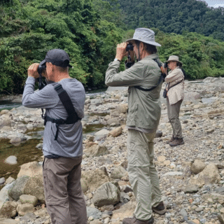 birdwatching experience Costa Rica guided tour clients observing birds