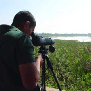 birdwatching with spotting scope Costa Rica guided tour birding experience